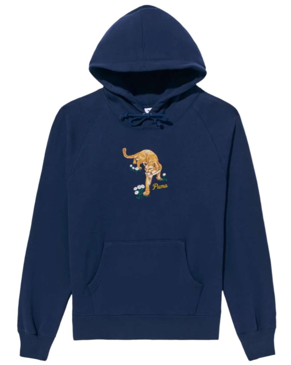 Noah X Puma Graphic Hoodie