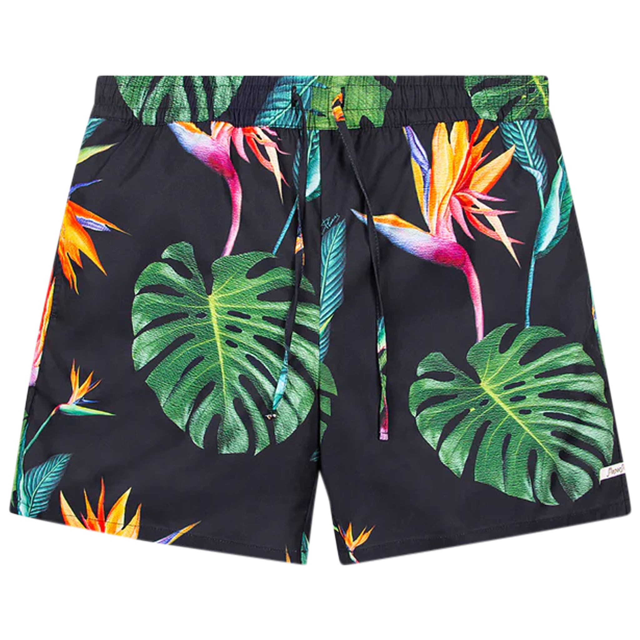 Bird of Paradise Short