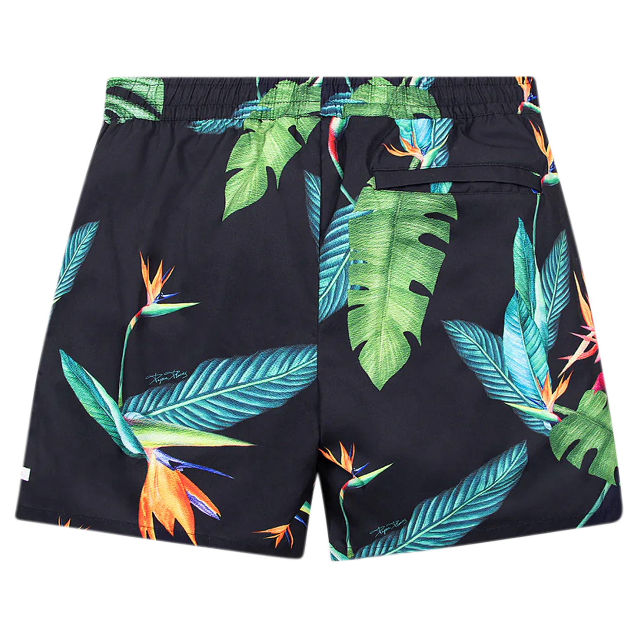 Bird of Paradise Short